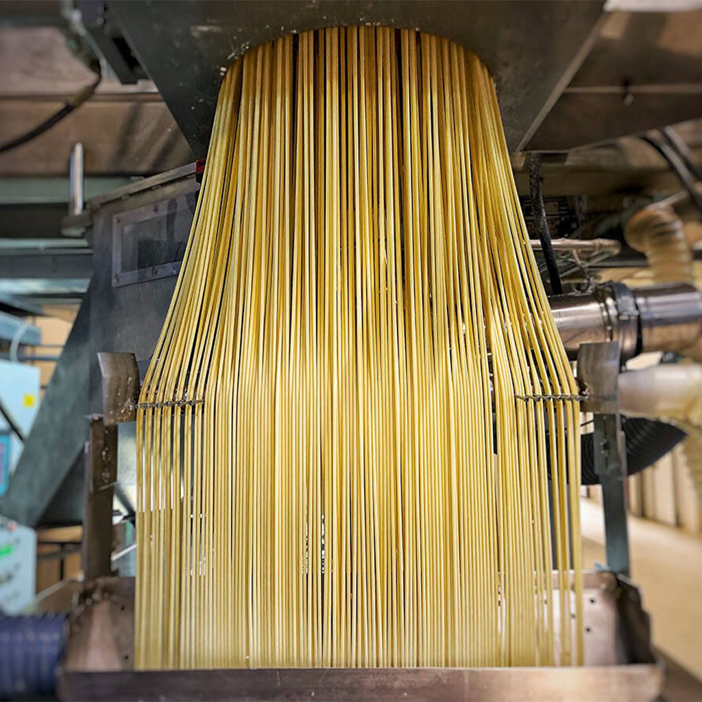 Bucatini Pasta